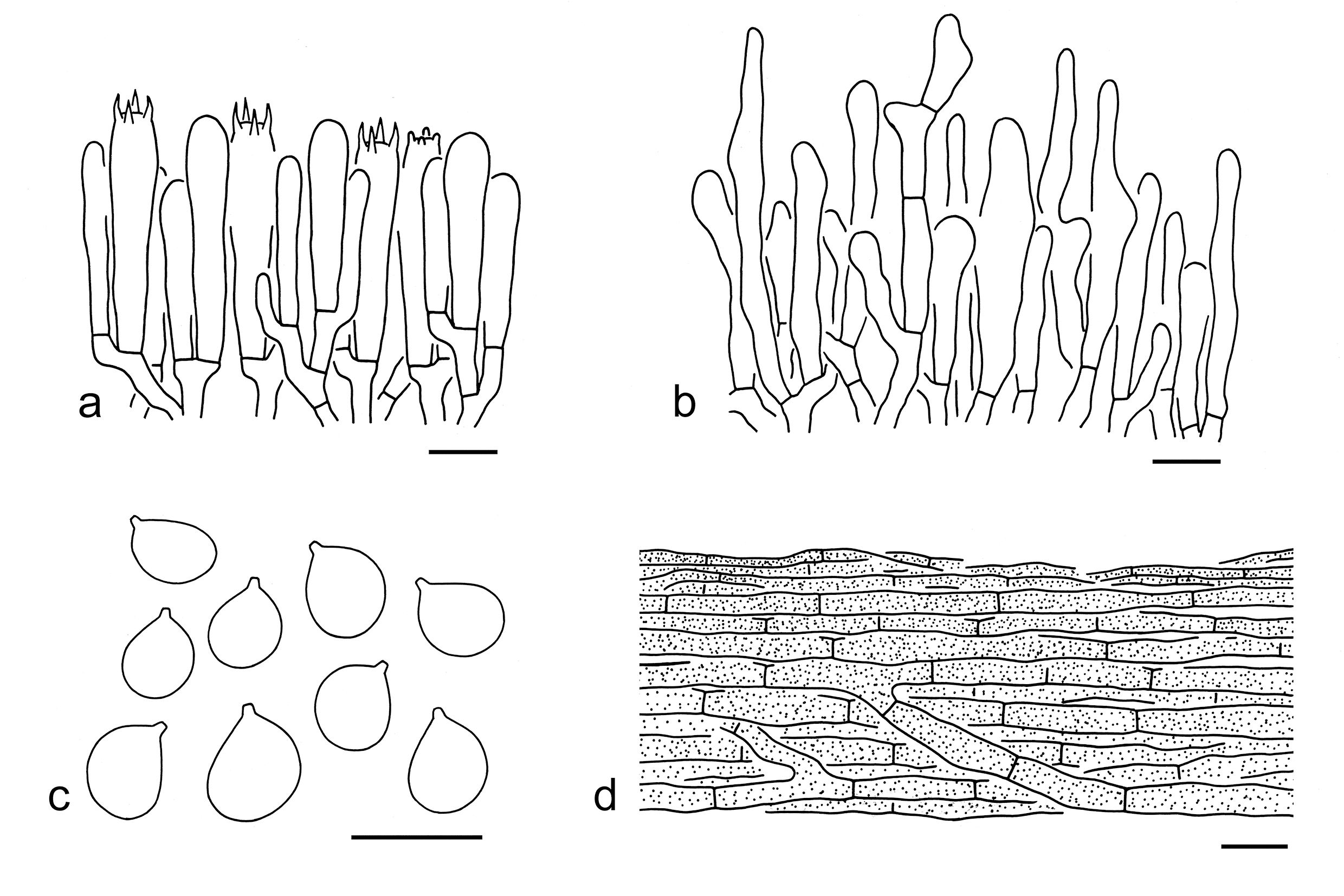 Figure 60